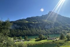 IMG_8881